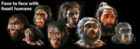Evolution