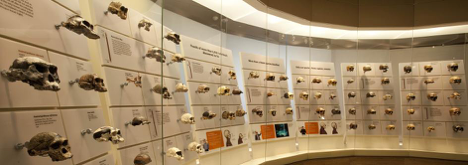 Items