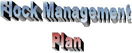 Flock Management
Plan