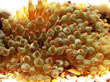 C001