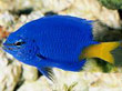 F001