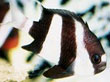 F002