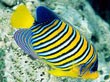 F025