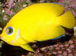 F058
