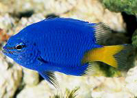 F001