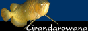 grandarowana.com