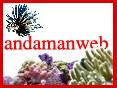 andamanweb