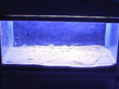 T003