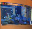 show_012