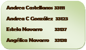 Rect�ngulo redondeado: Andrea Castellanos 33111
Andrea C Gonz�lez  33123
Estela Navarro         33137
Ang�lica Navarro    33138

