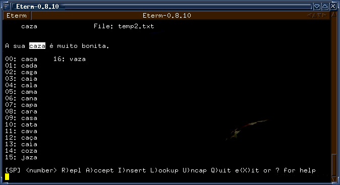 [screenshot do ispell]