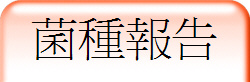 �ߺس��i
