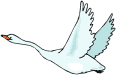 mix_305.gif (6972 bytes)