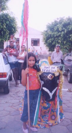 Joanna guardando o Boi