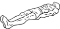Leg-raises-2.png