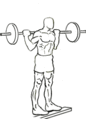 Standing-barbell-calf-raise-1.gif