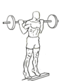 Standing-barbell-calf-raise-2.gif