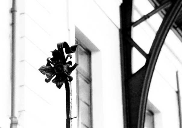 Flor de metal