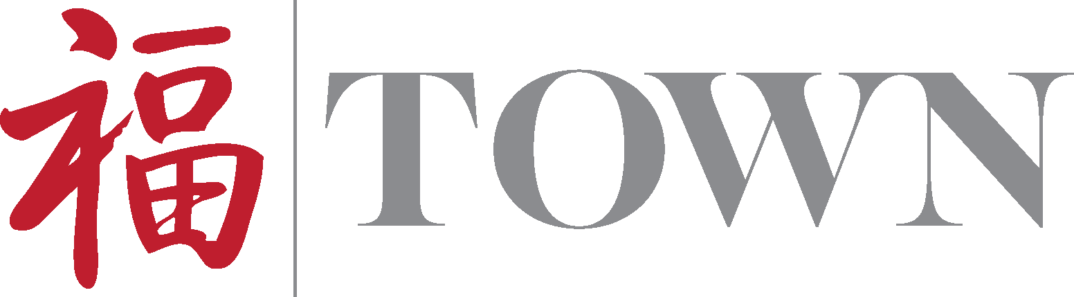 TOWN Logo
