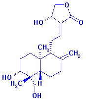 Andrographolide