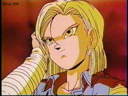 Future Android 18