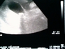 colec04.jpg