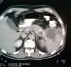 fig3.jpg