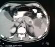 Fig6.jpg