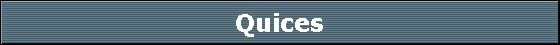 Quices