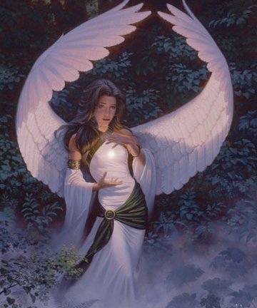 niteangel-grl.jpg