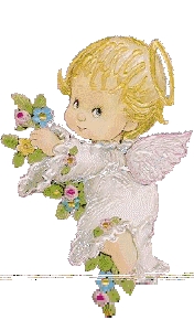 cart14.jpg