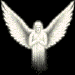 angelfly.gif