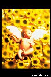 baby.JPG