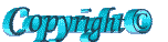 Copyright1.gif