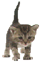 kit.gif