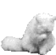 whitecat.gif