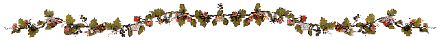 bar-vine.gif