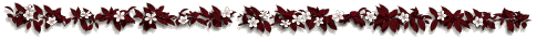 white-flrs.gif
