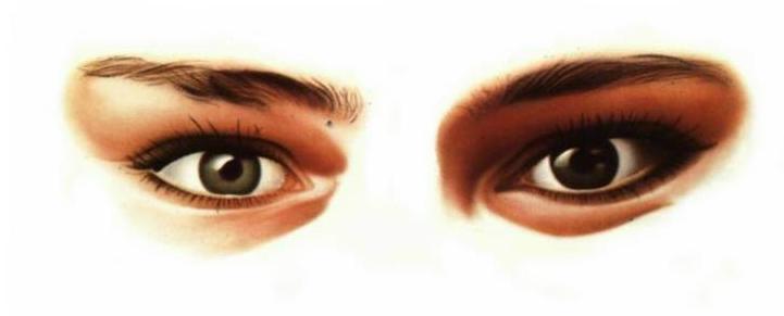 olhos.jpg (14893 bytes)