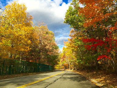 fallday
