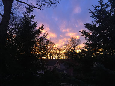 purplesunset