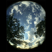 earth