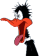 Daffy Duck!