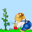 Baby Bear 