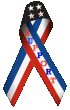 Support Our Troops