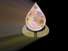 Angelbmine2 Place Tear Drop