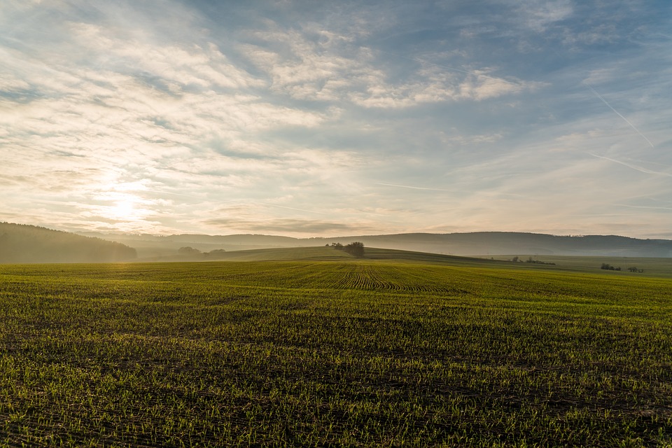 landscape green