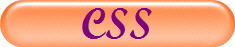 CSS