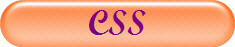CSS