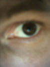 04_human_eyes01.jpg (13405 bytes)